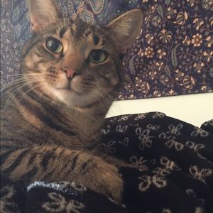 Meet your Posher, Alianna