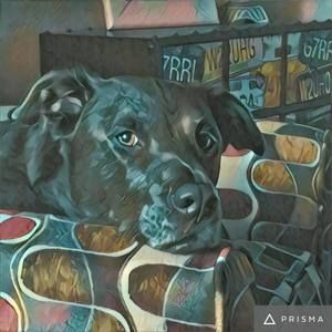 Meet your Posher, Tina