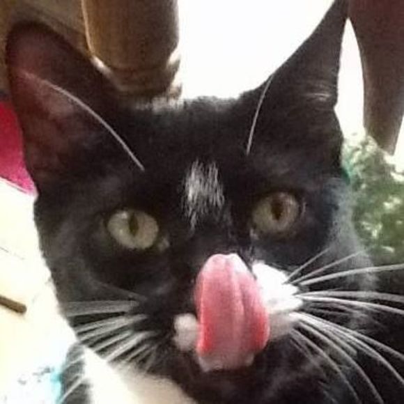 Meet your Posher, Marilyn