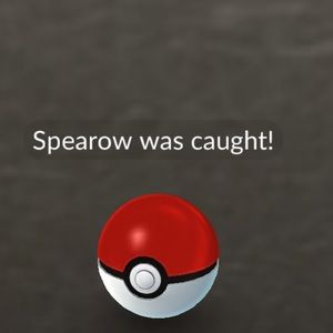 Meet your Posher, Lailia