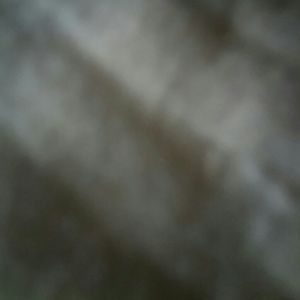 Meet your Posher, Marlon