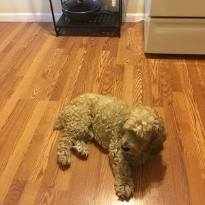 Meet your Posher, Bin