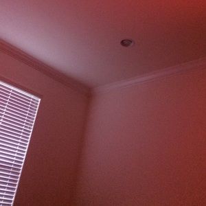 Meet your Posher, Julio