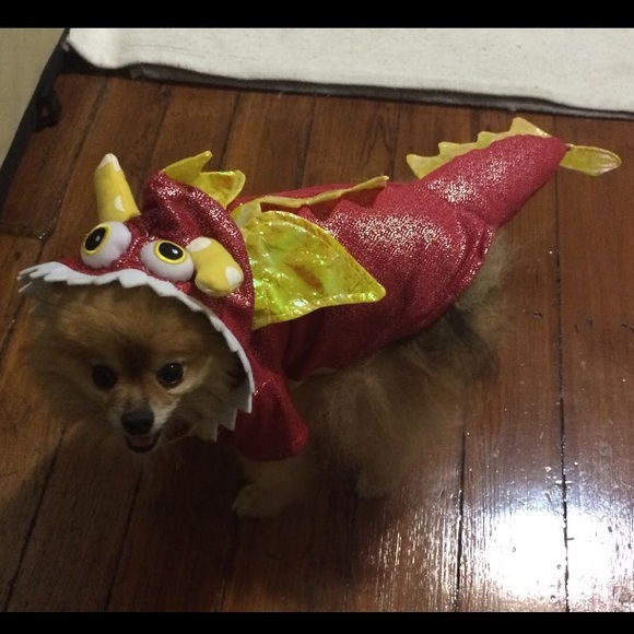 Dog costume - Dragon Dog Costume