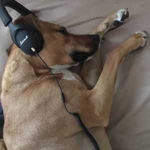 Meet your Posher, Edward