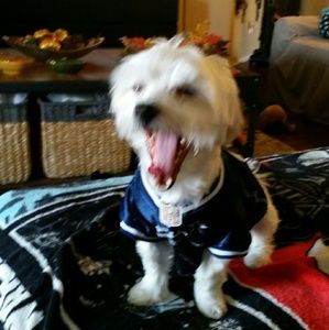 Meet your Posher, Martha