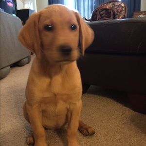 Meet your Posher, Jeff