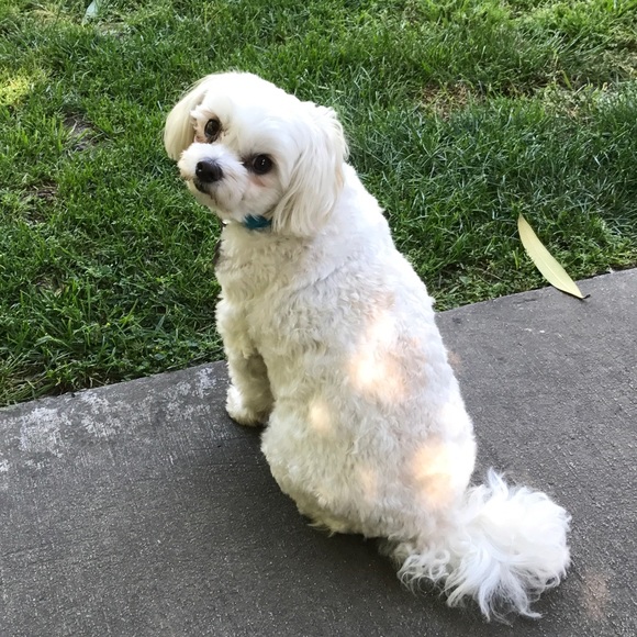 Meet your Posher, Katie - Picture 2 of 3