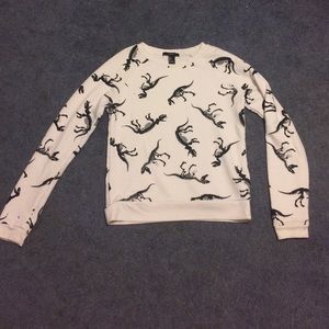 Crew neck sweater, dinosaur print