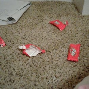 Meet your Posher, Jeff