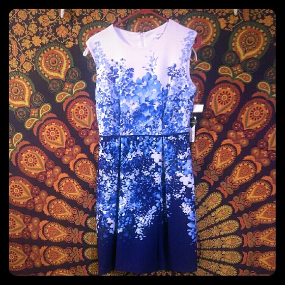 NWT Blue and white water color flower dress.