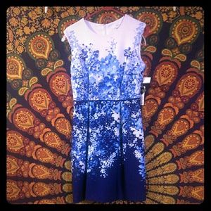 NWT Blue and white water color flower dress.