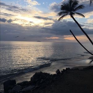 Meet your Posher, Delia