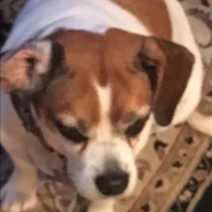 Meet your Posher, Sam