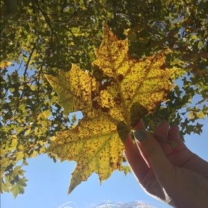 Meet your Posher, Sophie