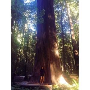 Meet your Posher, Marisol