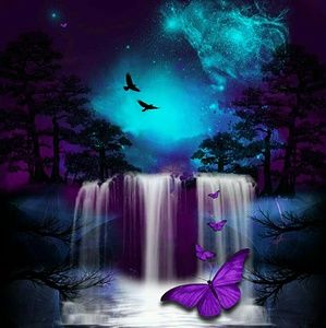 Meet your Posher, Janet