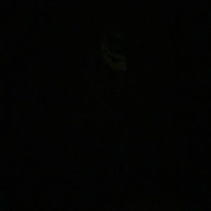 Meet your Posher, Maia