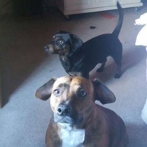 Meet your Posher, Joanne