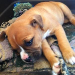 Meet your Posher, Mckenzie