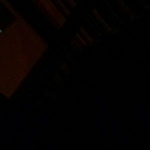 Meet your Posher, Lamonica