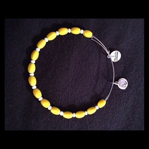 Alex and Ani Vintage Beads