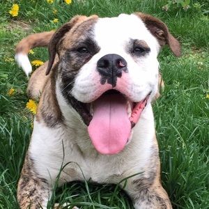 Meet your Posher, Jason