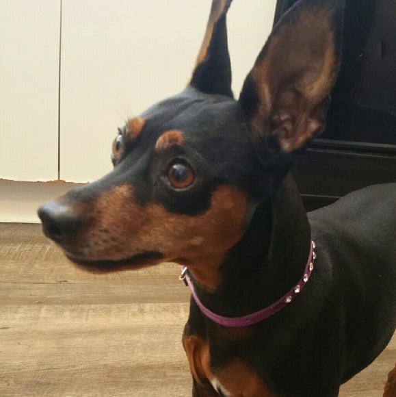 Sold out - Picture 2 of 3