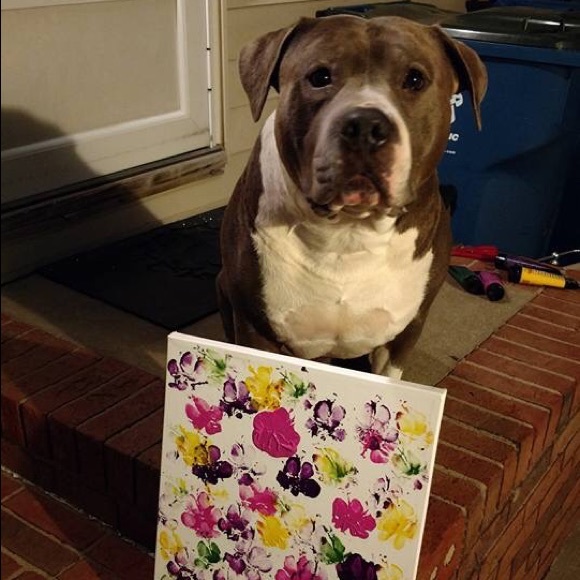 Meet your Posher, Deb. Refilling closet daily - Picture 3 of 3