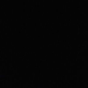 Meet your Posher, Breawna