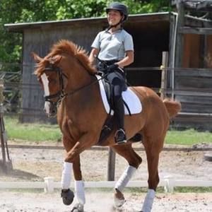 Meet your Posher, Marjory