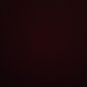 Meet your Posher, Chandler