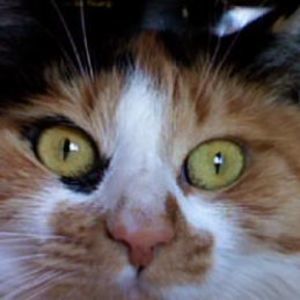 Meet your Posher, Tabitha