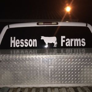 Meet your Posher, Dillon