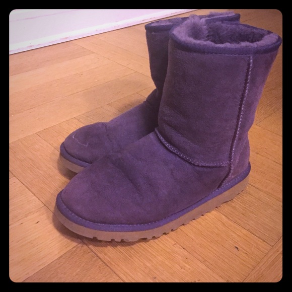 Purple classic authentic ugg