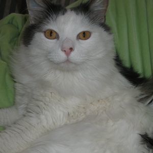 Meet your Posher, Karin