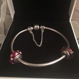XL Pandora Bracelet w/ charms