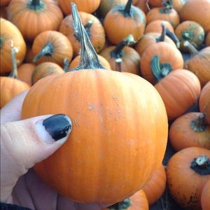 Meet your Posher, Madi