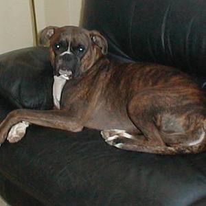 Meet your Posher, Sylvia