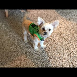 Meet your Posher, Leandra