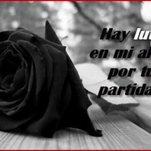 Meet your Posher, Benny