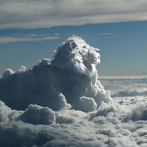 Meet your Posher, Billy