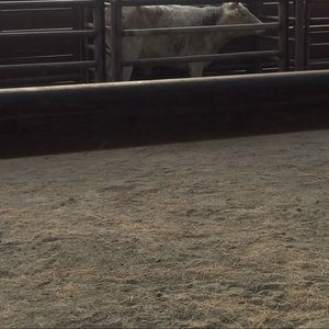 Meet your Posher, Gabriel