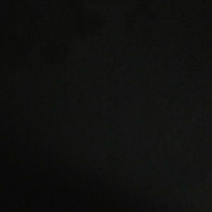 Meet your Posher, Shania