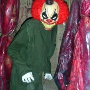 Meet your Posher, Alec