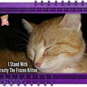 Meet your Posher, Sue