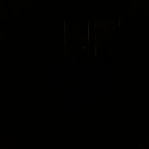 Meet your Posher, Lora