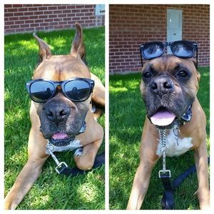 Meet your Posher, Rafael