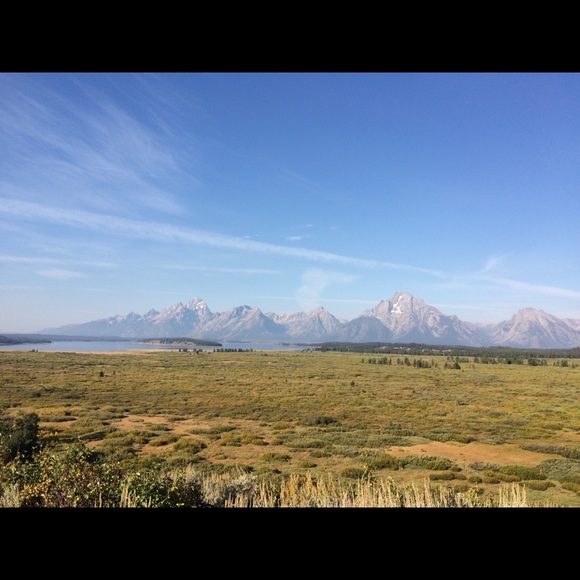 Meet your Posher, Sidney - Picture 1 of 1