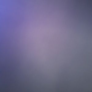 Meet your Posher, Nikidja